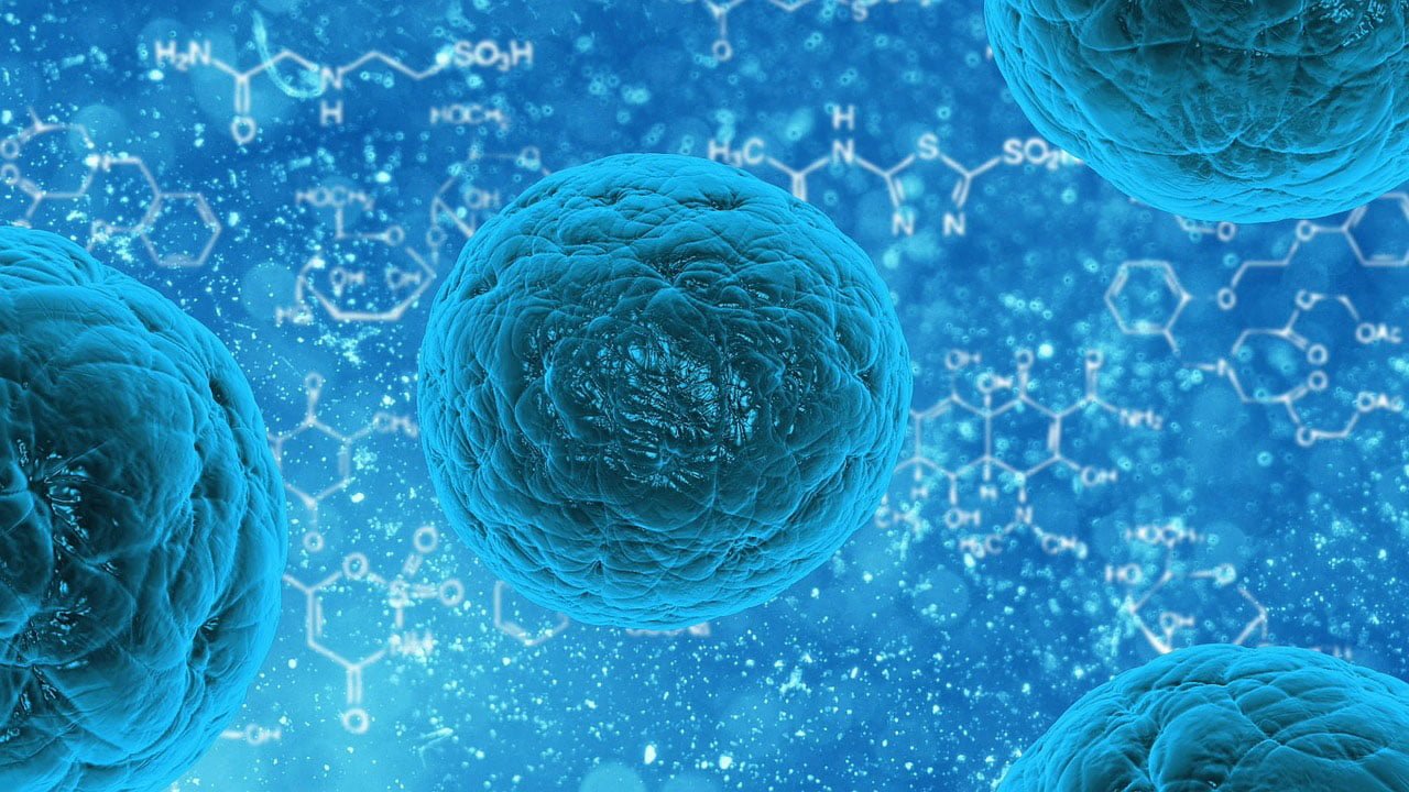 Stem Cell مجلة نقطة العلمية