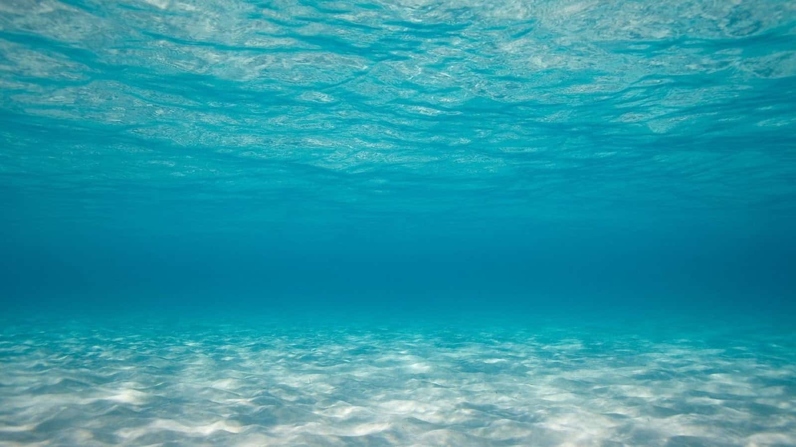 ماذا يوجد في قاع المحيطات؟ مجلة نقطة العلمية