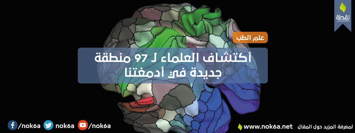 97 منطقة في الدماغ مجلة نقطة العلمية