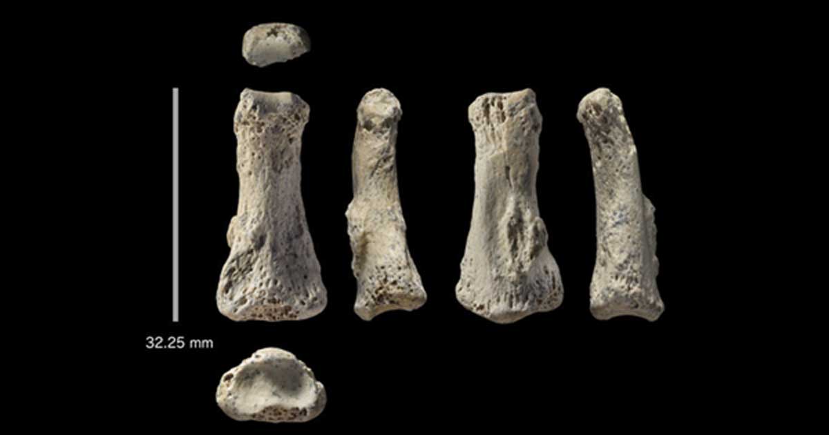 Ancient Human Fossil Finger Discovery مجلة نقطة العلمية