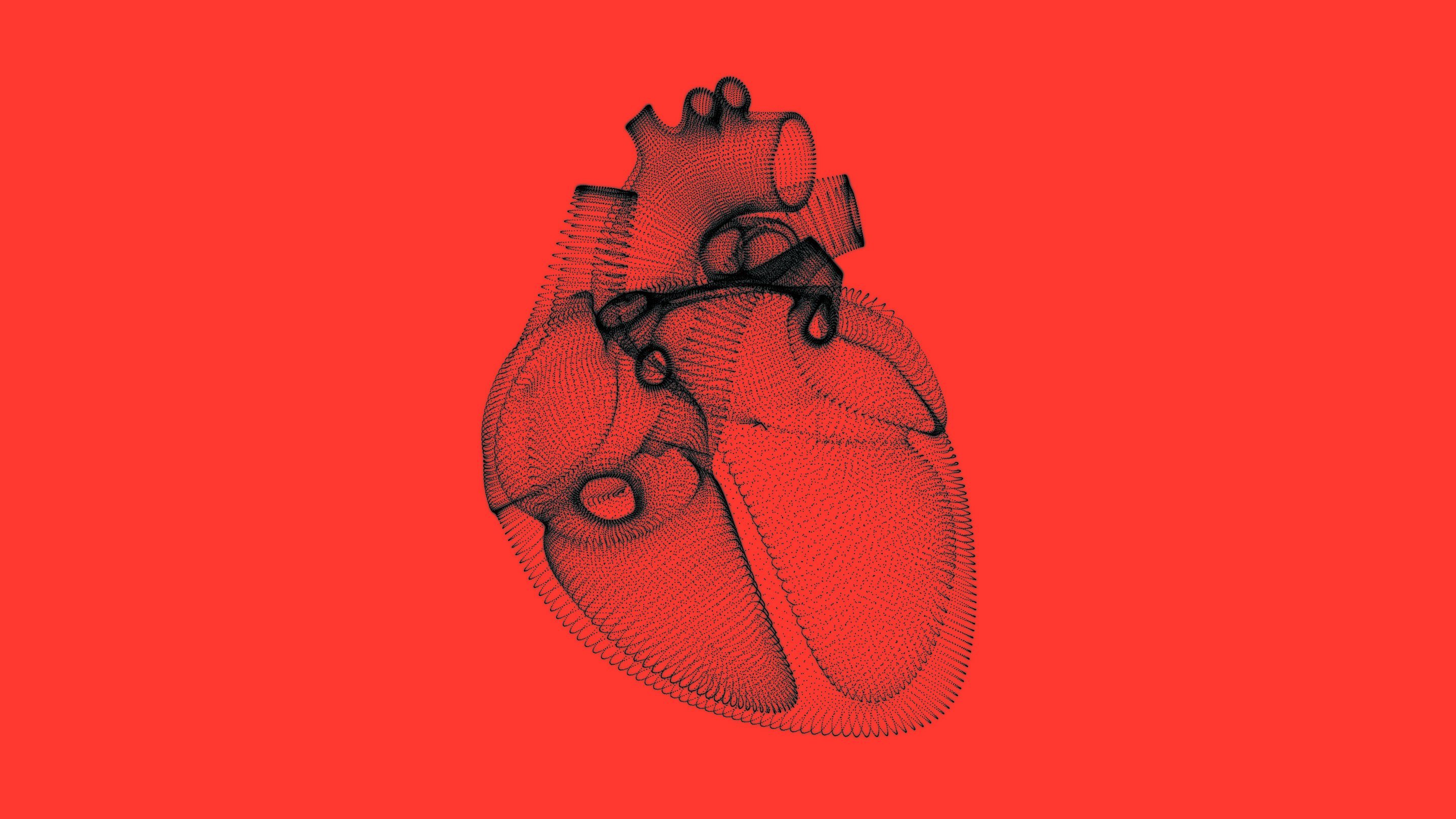 Heartbeat 2880 Lede Still مجلة نقطة العلمية