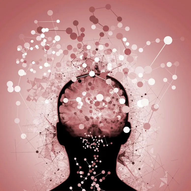 Neuroscience Brain Mapping Confusion Dementia 777X777 1 مجلة نقطة العلمية