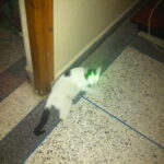 IMG 04321 فوائد الفواكه في كل يوم مجلة نقطة العلمية