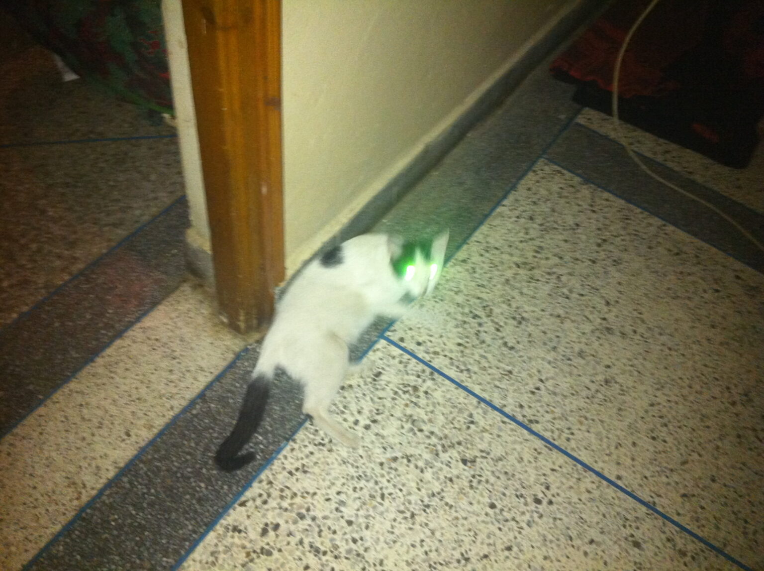 IMG 04321 فوائد الفواكه في كل يوم مجلة نقطة العلمية