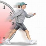 walkingforhealth saidaonline علاقة الوقت بسلامة اعضاء الجسم مجلة نقطة العلمية