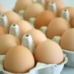 1122100 البيض : فآئدة و ضرر مجلة نقطة العلمية