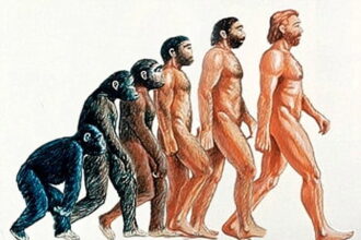 evolution الداروينية و الفشل مجلة نقطة العلمية