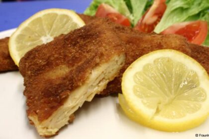 016123004 40100 اختراع ألماني جديد: شرائح لحم نباتية مفيدة للصحة والبيئة مجلة نقطة العلمية