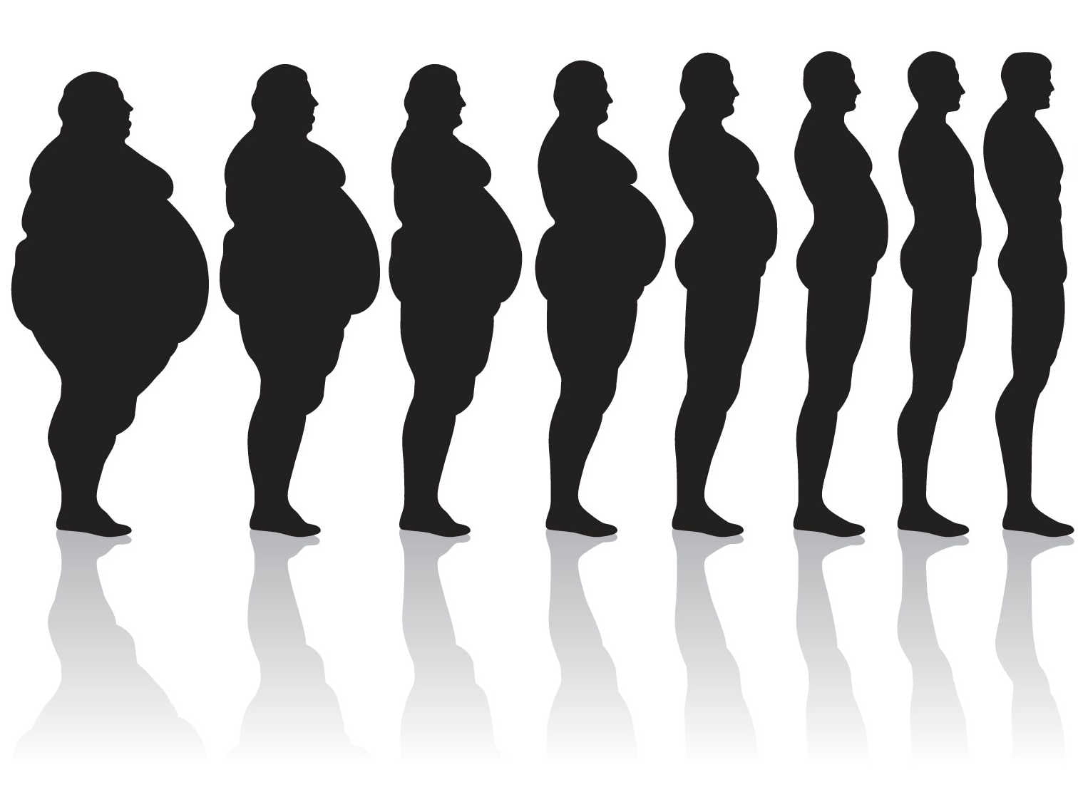 Transition Fat To Thin1 مجلة نقطة العلمية