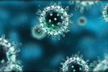 2 1 فيروس كورونا: نظرة عن كثب مجلة نقطة العلمية