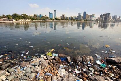 uae environment 800px shutterstock 68164963 01 d54cf02233 علماء يحذرون من إرتفاع مستوى تلوث الأنهار مجلة نقطة العلمية