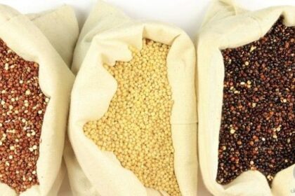 jeeens معايير بنوك الجينات للموارد الوراثية النباتية، لأغراض الغذاء والزراعة مجلة نقطة العلمية