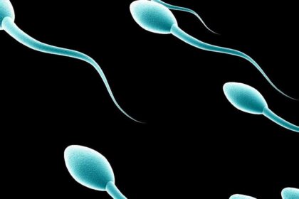 maxresdefault 7 e1531003568269 كيف يستطيع الحيوان المنوي احتواء أشياء كبيرة في حيز صغير مجلة نقطة العلمية