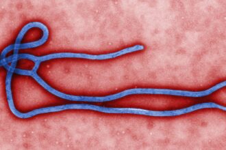 Ebola virus virion إنفوجرافيكس: إيبولا فيروس بدون علاج مجلة نقطة العلمية