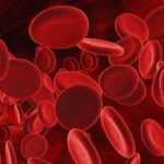 Mosquitopic e1452763594975 اكتشاف خلوي قد يساعد على علاج أمراض الدم مجلة نقطة العلمية