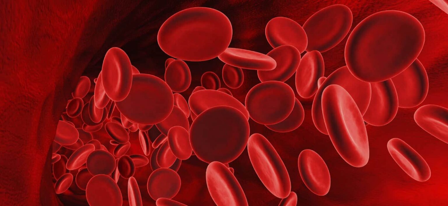 Mosquitopic e1452763594975 اكتشاف خلوي قد يساعد على علاج أمراض الدم مجلة نقطة العلمية