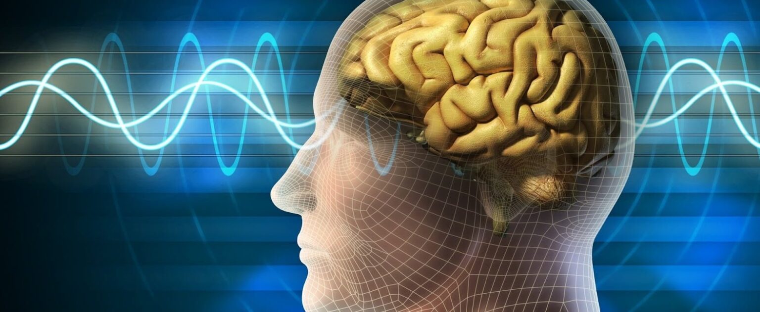 الذكريات ترتبط بالأماكن في الدماغ 1 human brain wallpaper الذكريات ترتبط بالأماكن في الدماغ مجلة نقطة العلمية