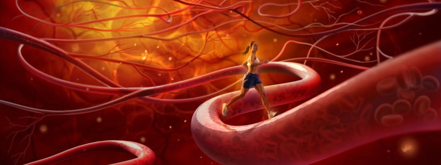 insito العضو الذي ينمو بعد بتره مجلة نقطة العلمية