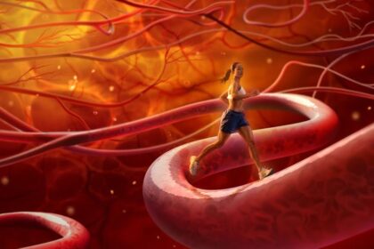 insito العضو الذي ينمو بعد بتره مجلة نقطة العلمية