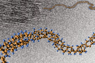 Badding orange thread 8 2014 e1412034078392 كابلات نانوية لبناء المصاعد الفضائية مجلة نقطة العلمية