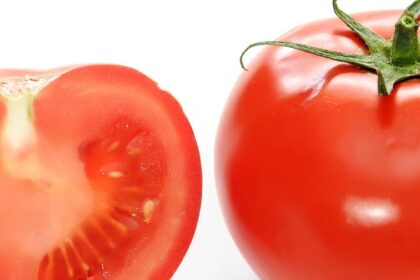 Bright red tomato and cross section02 e1411716397577 لماذا عليك أن تأكل المزيد من الطماطم؟ مجلة نقطة العلمية