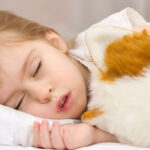 littlegirlsleeping2 e1410392319811 أسرار الأحلام (حراس النوم) مجلة نقطة العلمية