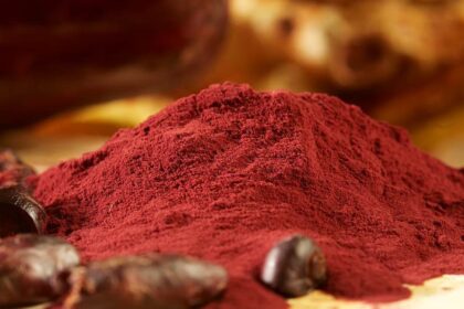 Purple powder beans powder e1414719563799 فلافانول الكاكاو يوقف تراجع القدرات الذهنية مجلة نقطة العلمية