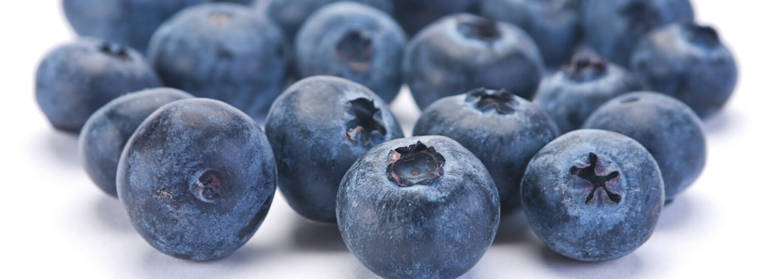 frozen blueberries 05 e1413155909772 10 أطعمة تعزز من صحة الدماغ مجلة نقطة العلمية