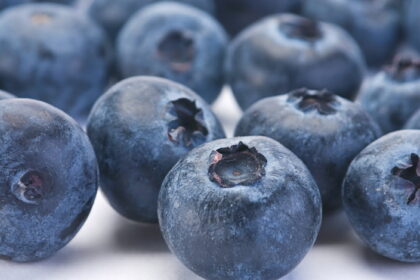 frozen blueberries 05 e1413155909772 10 أطعمة تعزز من صحة الدماغ مجلة نقطة العلمية