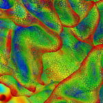 memory01 e1412806176224 اكتشاف خيوط جديدة تقود لفهم تحفيز المخ مجلة نقطة العلمية