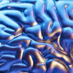 o BRAIN facebook e1413240541849 10 أشياء يومية للعناية بالدماغ مجلة نقطة العلمية