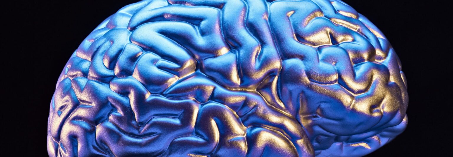 o BRAIN facebook e1413240541849 10 أشياء يومية للعناية بالدماغ مجلة نقطة العلمية