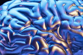 o BRAIN facebook e1413240541849 10 أشياء يومية للعناية بالدماغ مجلة نقطة العلمية