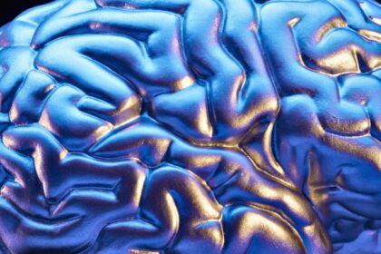 o BRAIN facebook e1413240541849 10 أشياء يومية للعناية بالدماغ مجلة نقطة العلمية