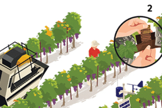 ap futurevineyard f e1414967672225 تكنولوجيا الزراعة الحديثة تتفوق على الزراعة باليد مجلة نقطة العلمية