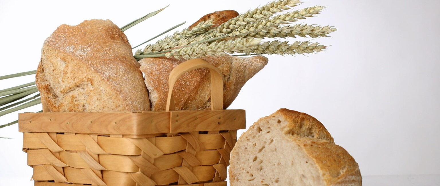 brood61 e1417302706734 فوائد الحبوب الكاملة على الصحة مجلة نقطة العلمية