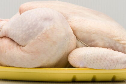 o CHICKEN CAMPYLOBACTER facebook e1417161878784 أكياس الدجاج ناقلة للبكتيريا مجلة نقطة العلمية