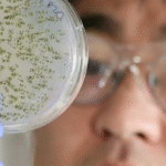 original e1415577527387 أدوية سرطان مفتوحة المصدر مجلة نقطة العلمية