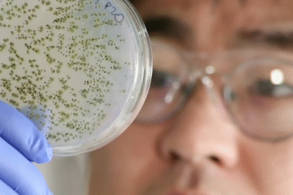 original e1415577527387 أدوية سرطان مفتوحة المصدر مجلة نقطة العلمية