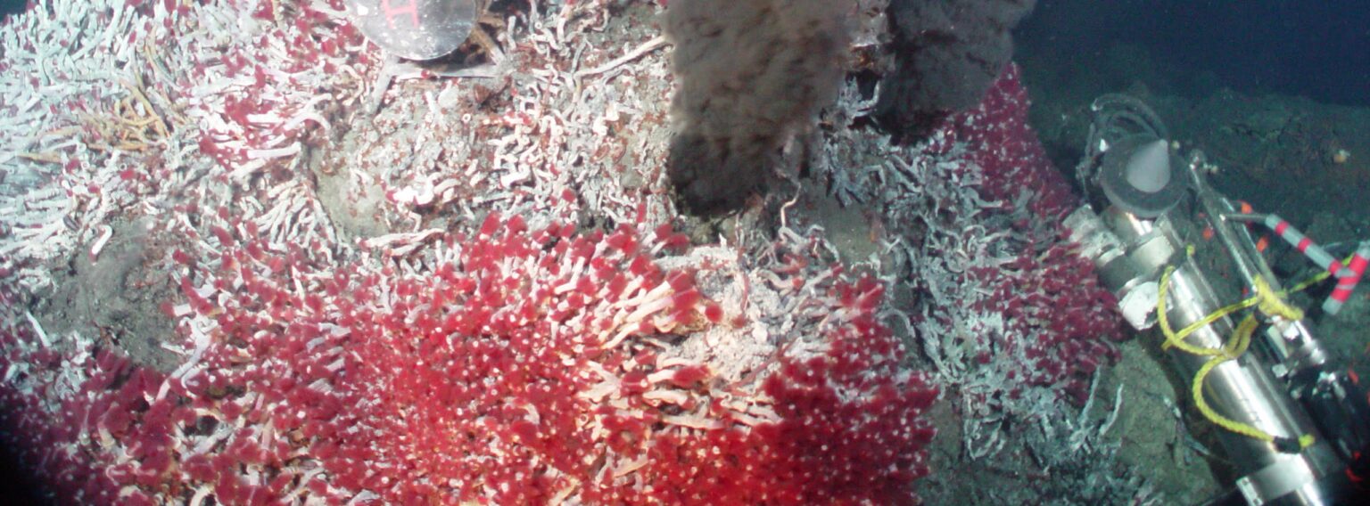 R852 DSC sully vent e1417912670894 كائنات البحار العميقة تنتج المضادات الحيوية مجلة نقطة العلمية