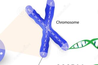 human cell chromosome telomere repeating sequence double stranded dna located ends chromosomes each time 36989577 e1419282323783 الاكتئاب ليس مجرد مرض يوجد في رؤوسنا مجلة نقطة العلمية