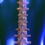spinal cord stimulation e1418434657458 تنمية النخاع الشوكي في المختبر مجلة نقطة العلمية