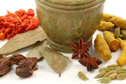 11 Tanaman Obat untuk HERBAL Diabetes Asam Urat e1424123557253 فضائح المكملات العشبية الكاذبة مجلة نقطة العلمية