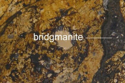 Bridgmanite Chi Ma e1424640040593 أكثر المركبات انتشارا يحصل أخيرا على اسم!! مجلة نقطة العلمية
