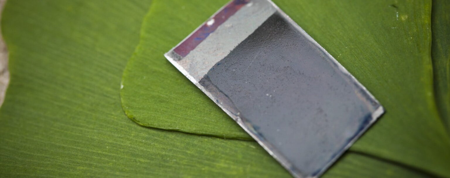 تحويل ضوء الشمس إلى وقود سائل باستخدام البكتيريا 1 artificial leaf turns sunlight liquid fuel e1424120055741 تحويل ضوء الشمس إلى وقود سائل باستخدام البكتيريا مجلة نقطة العلمية