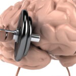 dreamstime xxl 17754591 2 e1424640892644 كيف تعمل الذاكرة البشرية مجلة نقطة العلمية