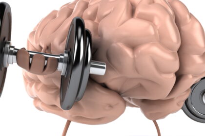 dreamstime xxl 17754591 2 e1424640892644 كيف تعمل الذاكرة البشرية مجلة نقطة العلمية