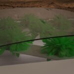 header e1423335831122 الخس يصل إلى المريخ مجلة نقطة العلمية