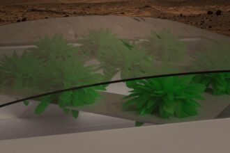 header e1423335831122 الخس يصل إلى المريخ مجلة نقطة العلمية