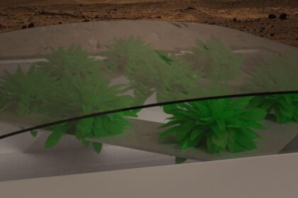 header e1423335831122 الخس يصل إلى المريخ مجلة نقطة العلمية